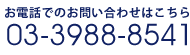 お電話でのご購入・お問い合わせ　03-3988-8541