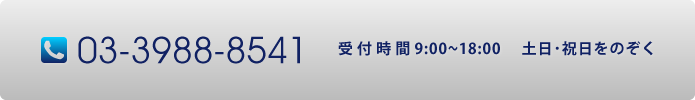 03-3988-8541　受付　月～金　9:00～18:00